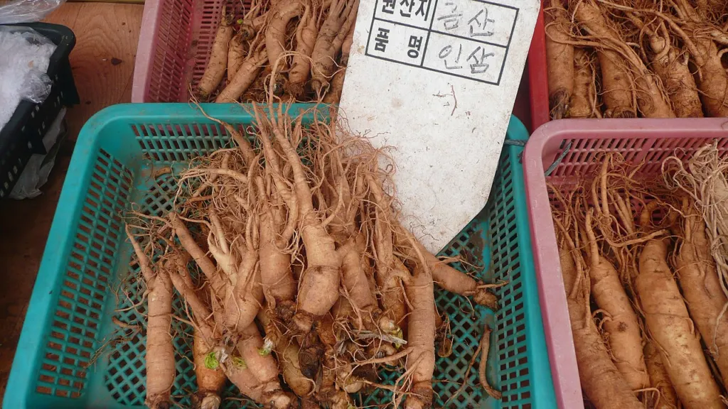 Panax ginseng chapter thumbnail: Phytochemistry