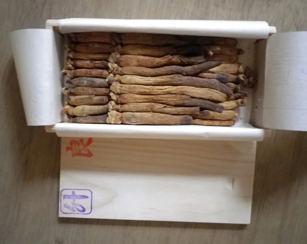 Dark reddish-brown Korean red ginseng roots packed in a wooden box