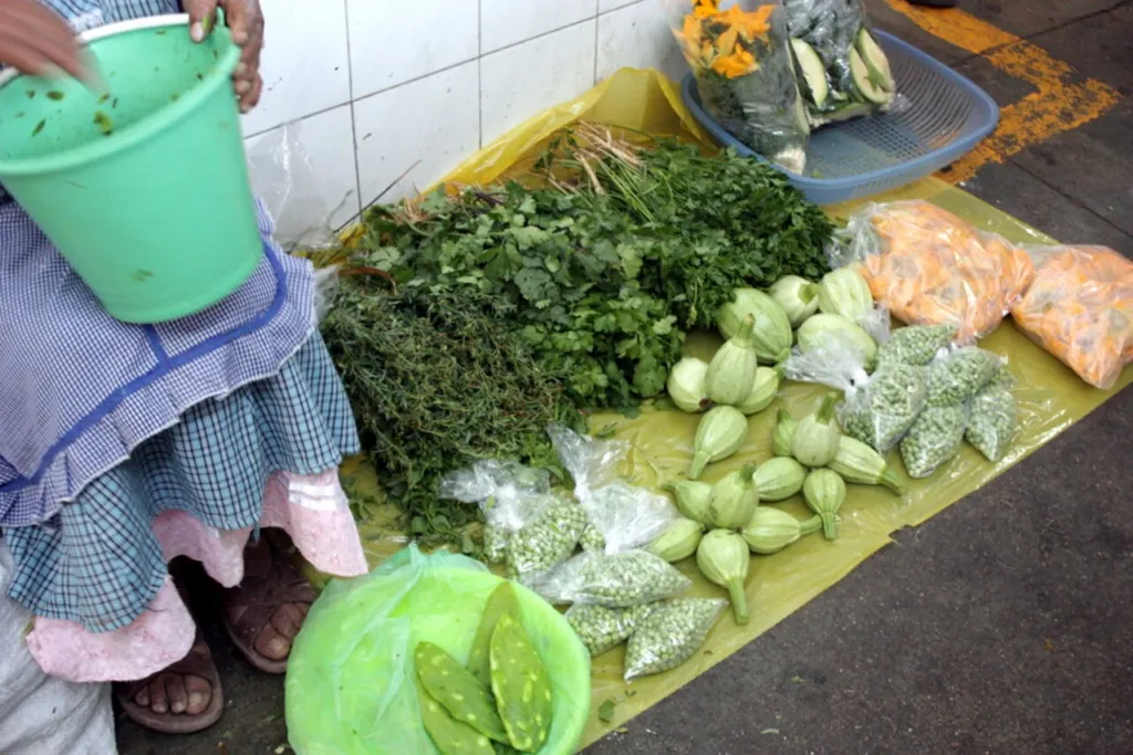 Nopales (Opuntia ficus-indica pads) for sale beside fresh herbs at a Mexico City market