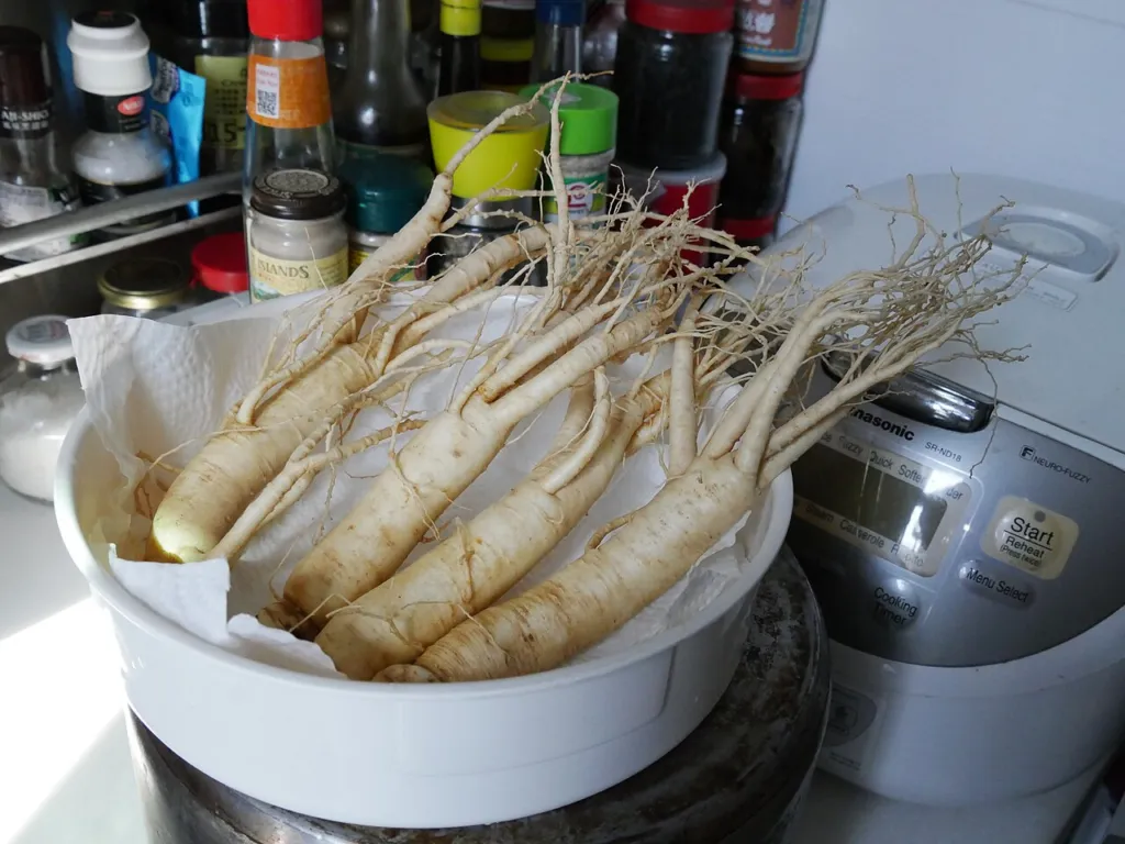 Panax ginseng chapter thumbnail: White root and red root