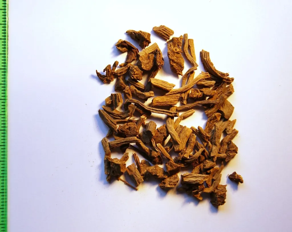 Pile of dried golden-brown Valeriana officinalis root pieces on white