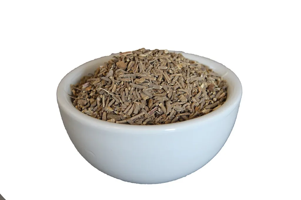 Bowl of cut dried Valeriana officinalis root