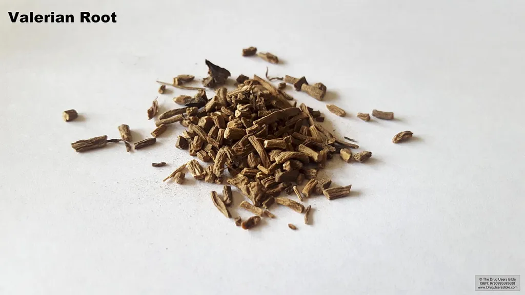 Small heap of dried chopped Valeriana officinalis root on a white surface