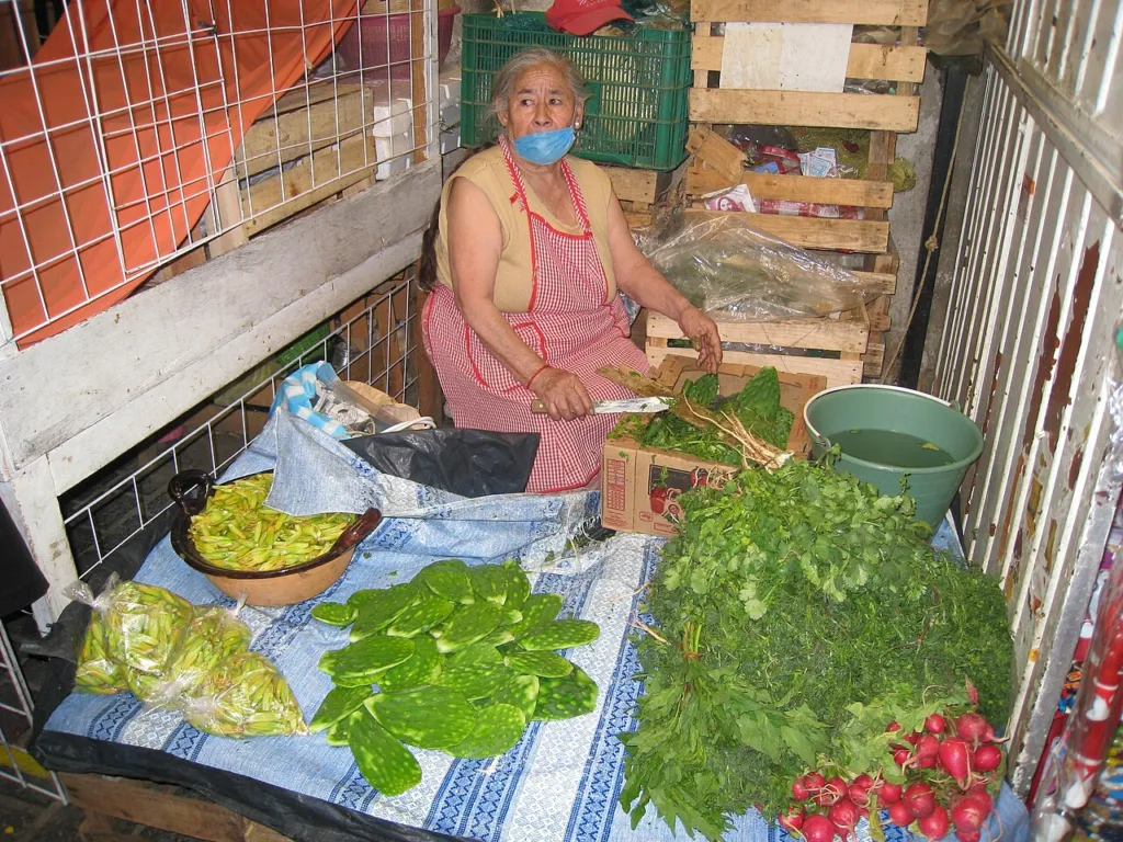 Market stall cook preparing chopped nopales, the cladodes of Opuntia ficus-indica
