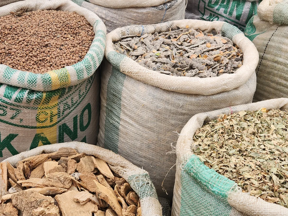 Dried herbal materials stored in sacks