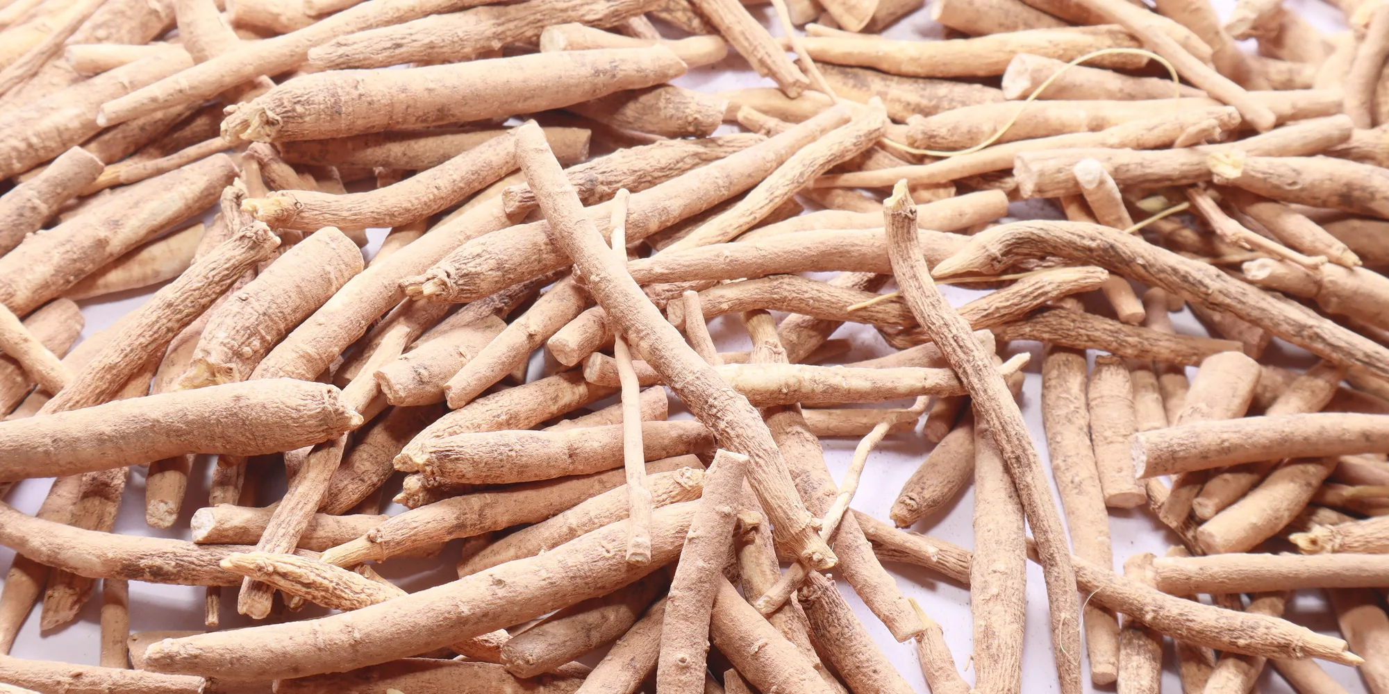 Dried ashwagandha (Withania somnifera) roots