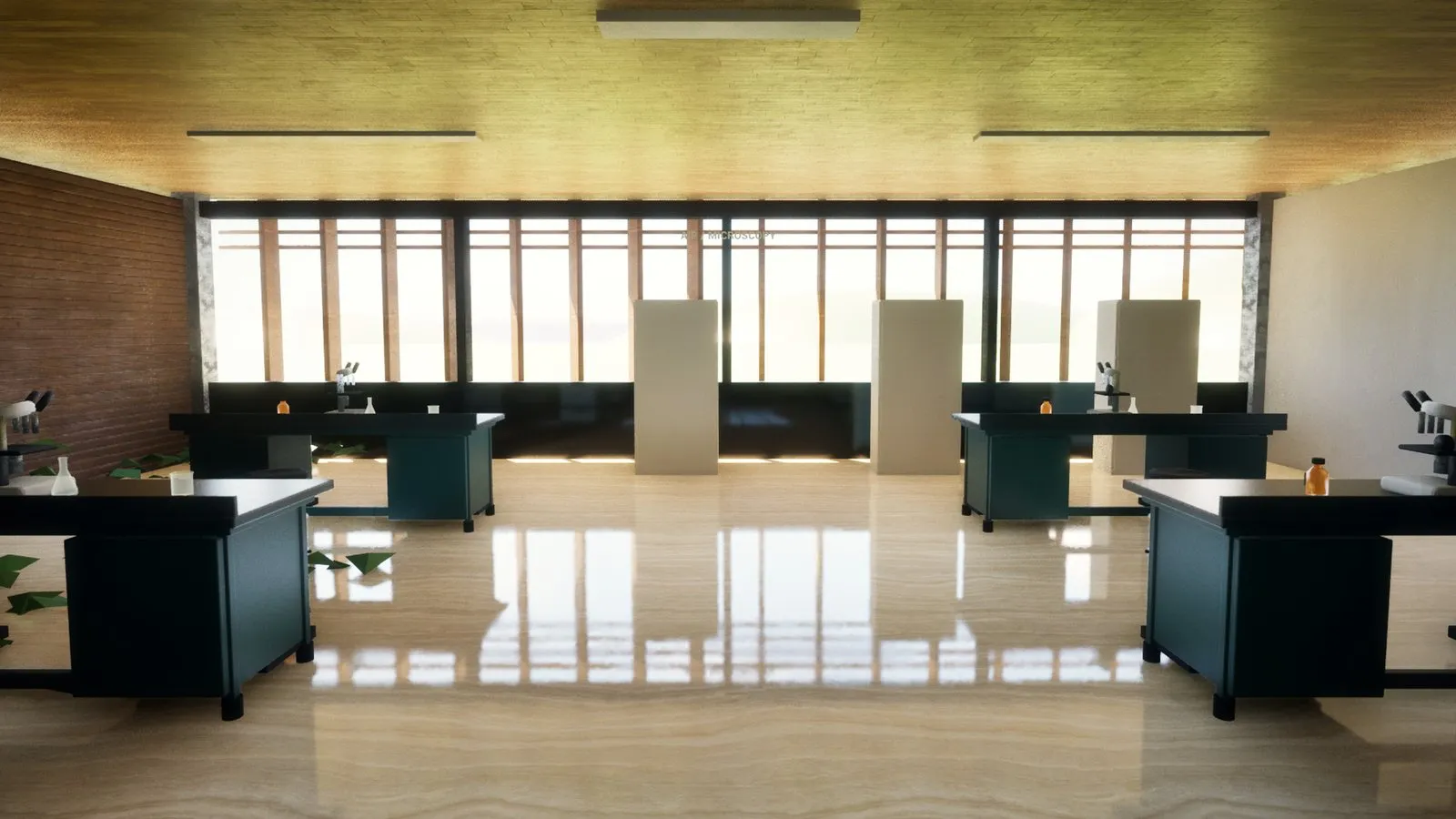 A teaching laboratory with microscopy benches and tall windows