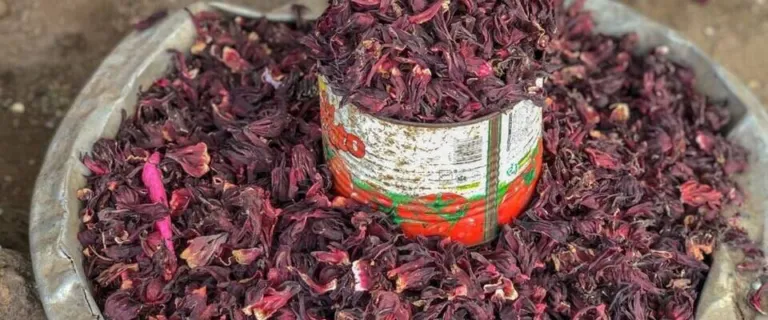 Basin of dried Hibiscus sabdariffa calyces for sale at a West African market