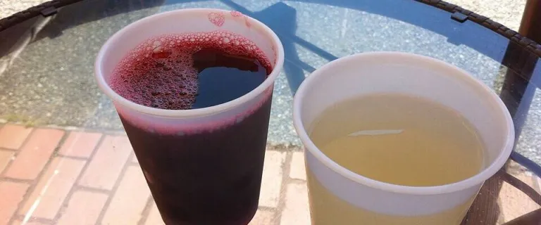 Cup of dark red bissap made from Hibiscus sabdariffa beside a cup of ginger drink