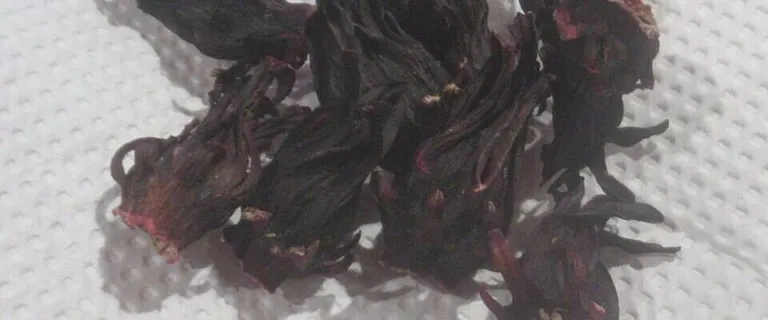 Dried Hibiscus sabdariffa calyces on a white cloth, Philippines