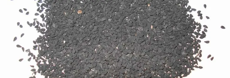 Heap of black Nigella sativa seeds on a white surface