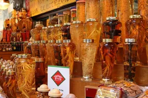 Rows of tall glass jars holding whole ginseng roots in amber liquid on a market stall in Seoul