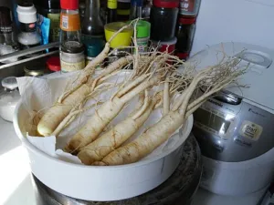 Fresh, pale ginseng roots lying in a steamer basket on a home kitchen bench