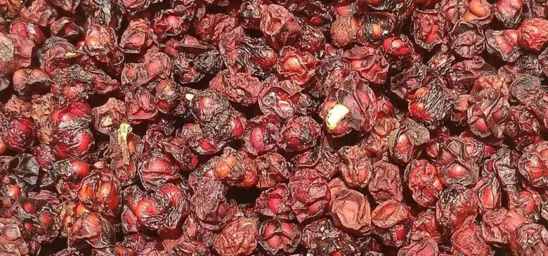 Dried Schisandra chinensis berries, deep red and wrinkled, heaped together