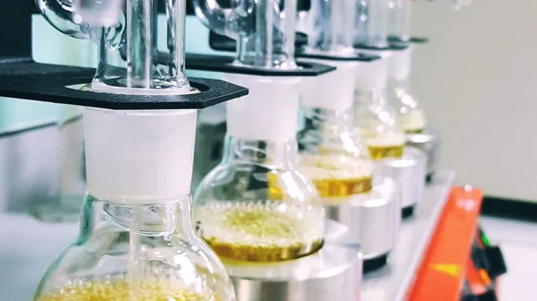 Soxhlet extractors running on a laboratory bench