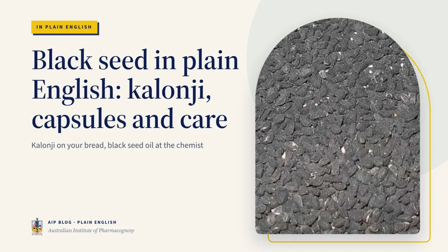 Black seed in plain English: kalonji, capsules and care - Australian Institute of Pharmacognosy