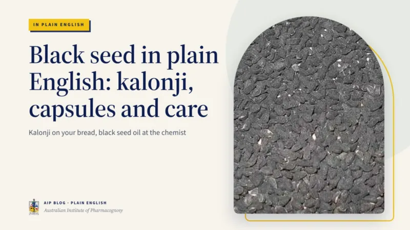 Black seed in plain English: kalonji, capsules and care