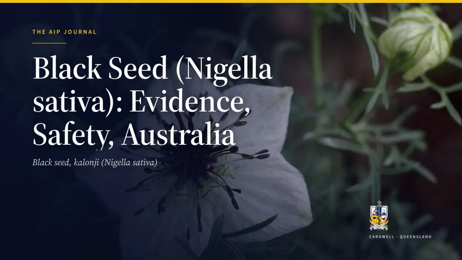 Black Seed (Nigella sativa): Evidence, Safety, Australia - Australian Institute of Pharmacognosy