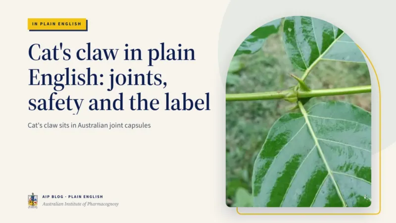 Cat’s claw in plain English: joints, safety and the label