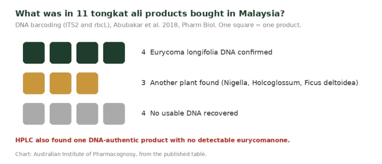 Chart of 11 tongkat ali products: 4 confirmed as Eurycoma longifolia, 3 containing other plants, 4 with no usable DNA