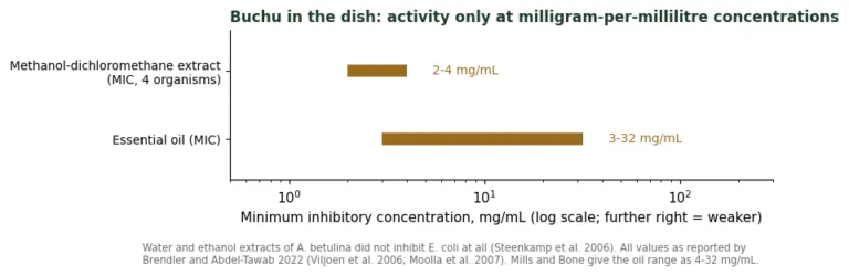 Log-scale chart of buchu extract and essential oil minimum inhibitory concentrations