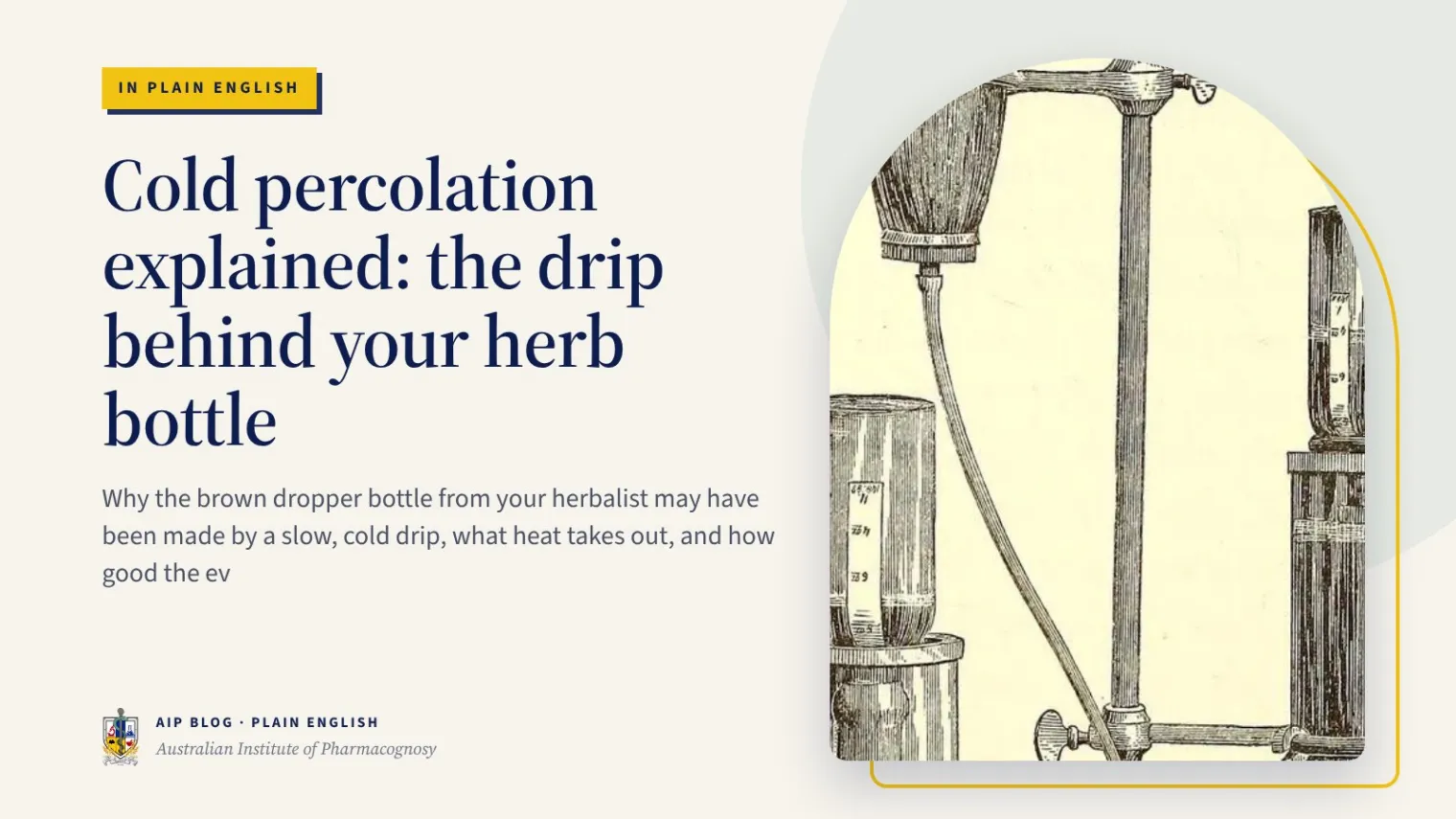 Cold percolation explained: the drip behind your herb bottle - Australian Institute of Pharmacognosy