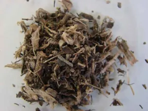 Chapter 11: Echinacea, the dried root