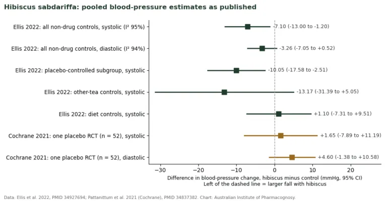 Forest-style chart of pooled blood-pressure differences for Hibiscus sabdariffa from Ellis 2022 and the Cochrane 2021 review