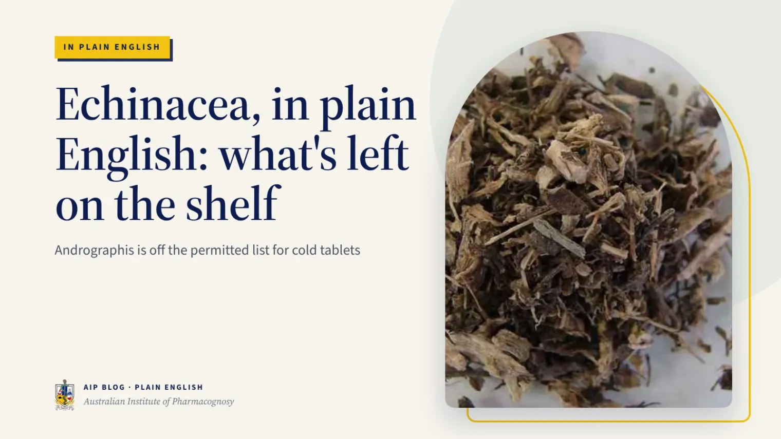 Echinacea, in plain English: what's left on the shelf - Australian Institute of Pharmacognosy