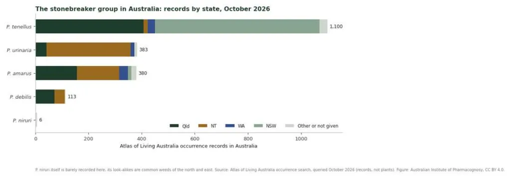 Stacked bar chart of Atlas of Living Australia records for five Phyllanthus species by state