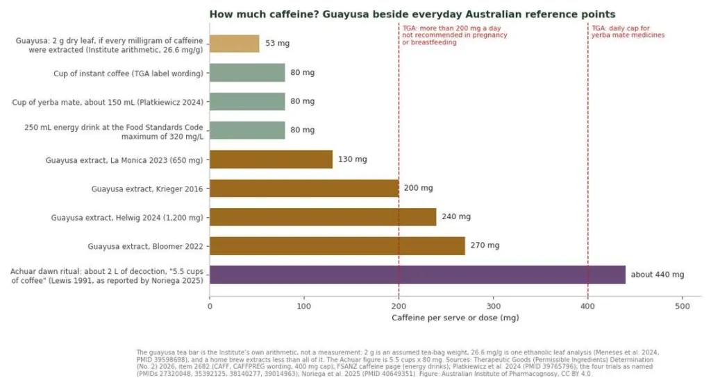 Bar chart of caffeine per serve for guayusa tea, coffee, yerba mate, an energy drink and the guayusa trial doses