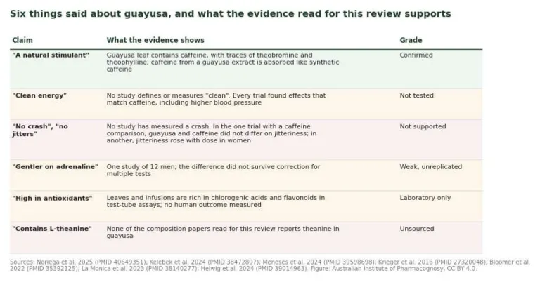 Table of six marketing claims about guayusa with what the evidence shows and an evidence grade for each