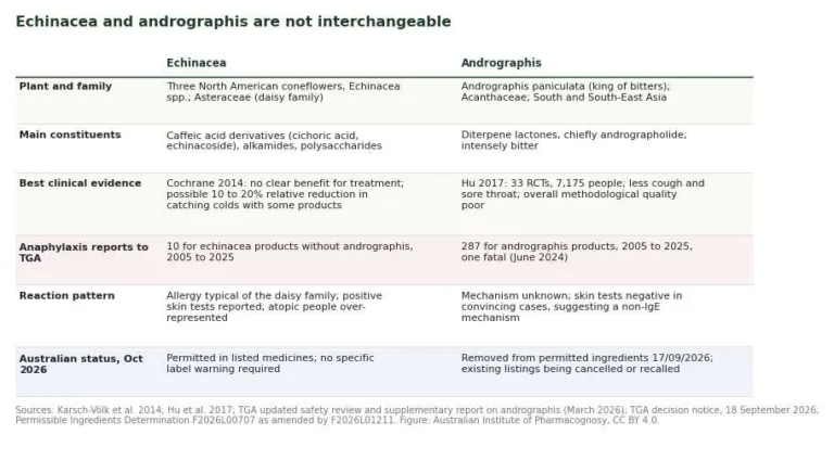 Table comparing echinacea and andrographis by plant, constituents, evidence, anaphylaxis reports, reaction pattern and Australian status