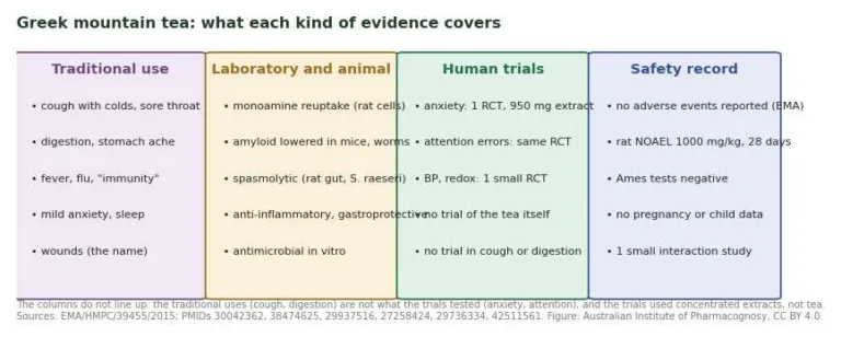 Four-column chart comparing traditional uses, laboratory findings, human trials and safety data for Greek mountain tea