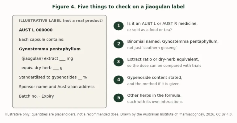 Illustrative supplement label beside a five-point checklist for reading a jiaogulan product label