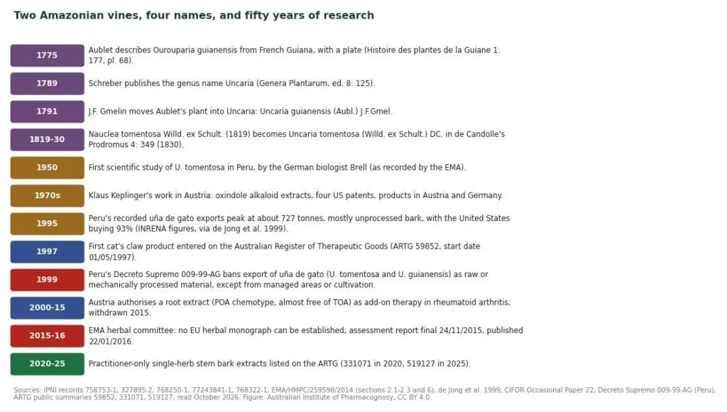 Timeline of cat's claw names and history from Aublet in 1775 to Australian listings in 2025