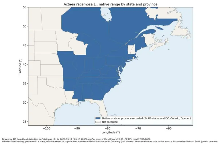 Map of eastern North America shading the US states and Canadian provinces where Actaea racemosa is native
