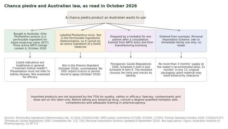 Flow diagram of four Australian regulatory routes for Phyllanthus niruri (chanca piedra) products