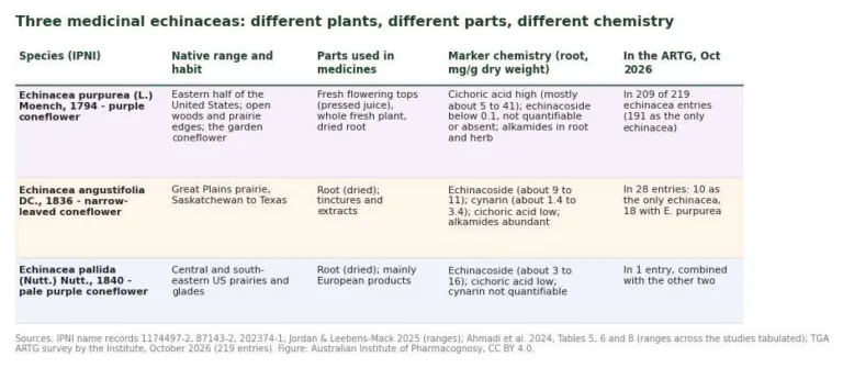 Table comparing Echinacea purpurea, E. angustifolia and E. pallida by range, parts used, marker chemistry and ARTG entries
