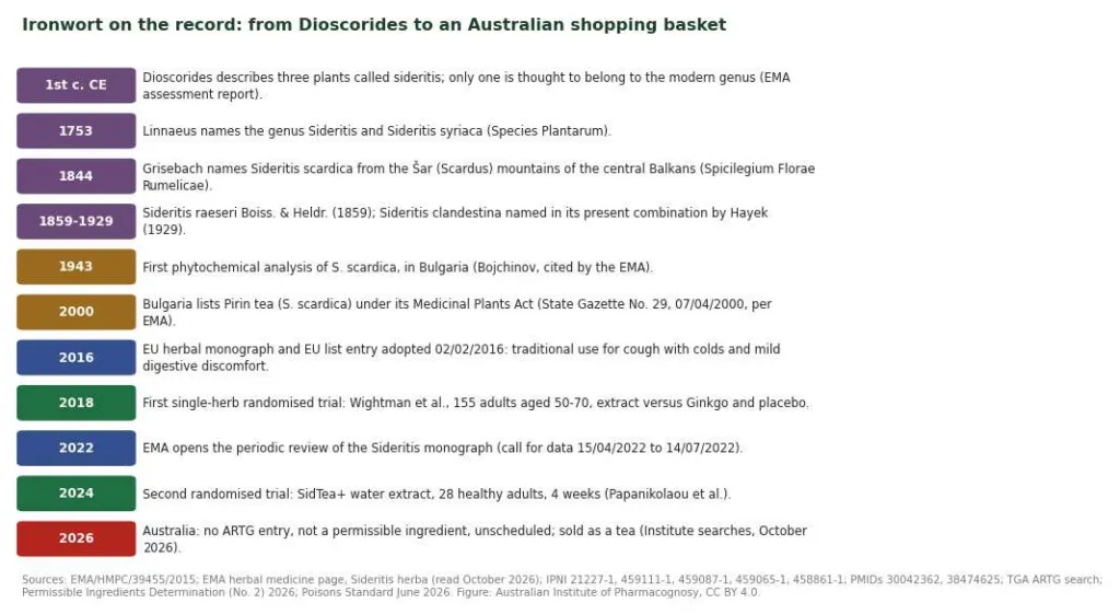 Timeline of Sideritis from Dioscorides to the 2016 EU monograph, the trials and Australian status in 2026