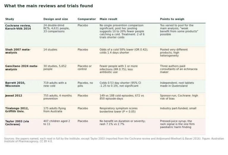Table summarising the main echinacea reviews and trials, their size, comparator, result and caveats