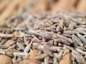 Pale brown ridged cumin fruits, Cuminum cyminum