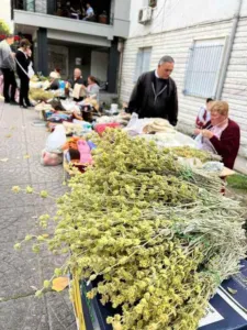 Chapter 4: Sideritis mountain tea, an Albanian market