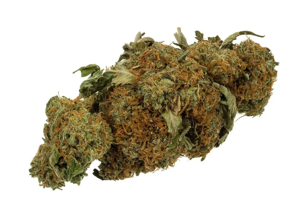 A single gram of dried cannabis flower sitting on a white background