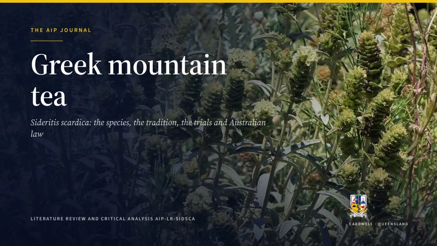 Greek mountain tea (Sideritis scardica): trials, safety, law - Australian Institute of Pharmacognosy