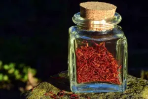 Chapter 1: Crocus sativus, threads in a jar