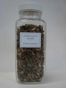 Glass jar of dried cut echinacea root labelled Echinaceae radix Echinacea purpurea