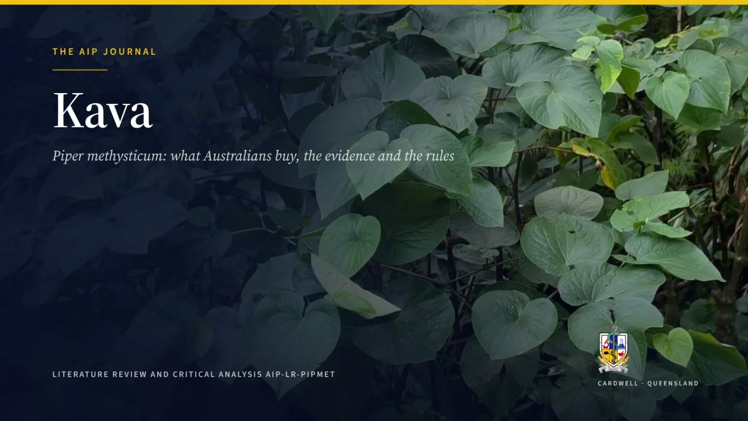 Kava (Piper methysticum): Australian rules, safety, evidence - Australian Institute of Pharmacognosy