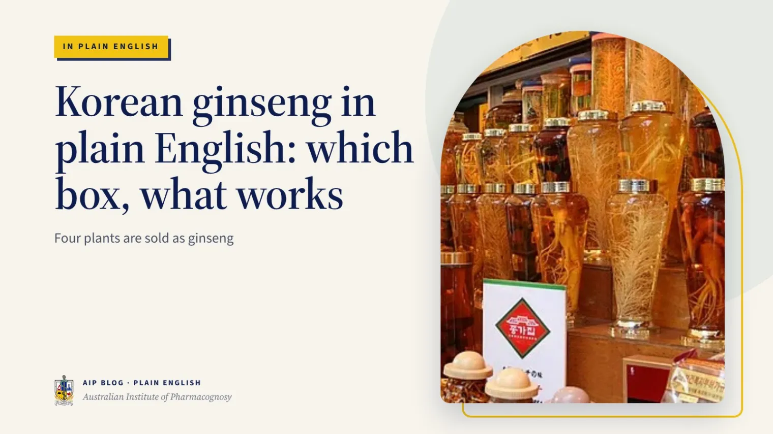 Korean ginseng in plain English: which box, what works - Australian Institute of Pharmacognosy