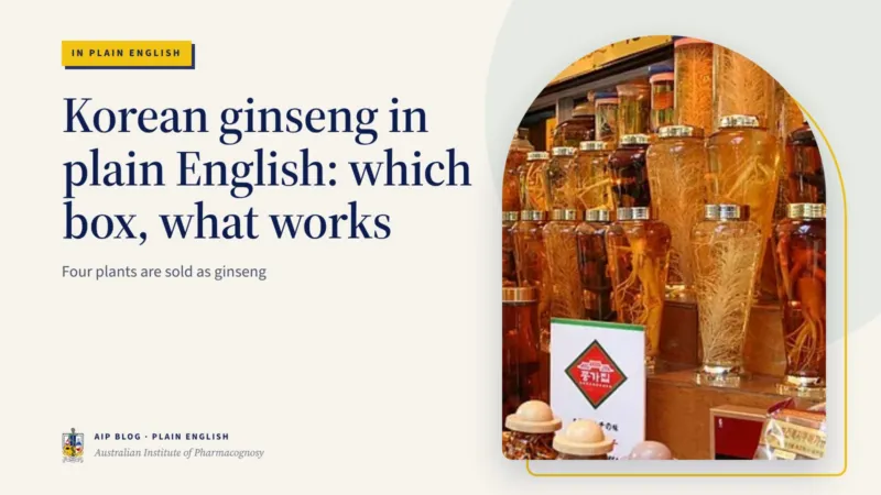 Korean ginseng in plain English: which box, what works